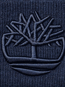 Шапка Timberland модель TB0A65HP451 Фото