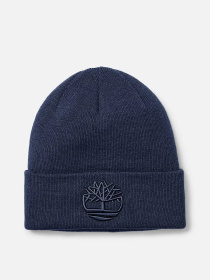 Шапка Timberland модель TB0A65HP451 Фото