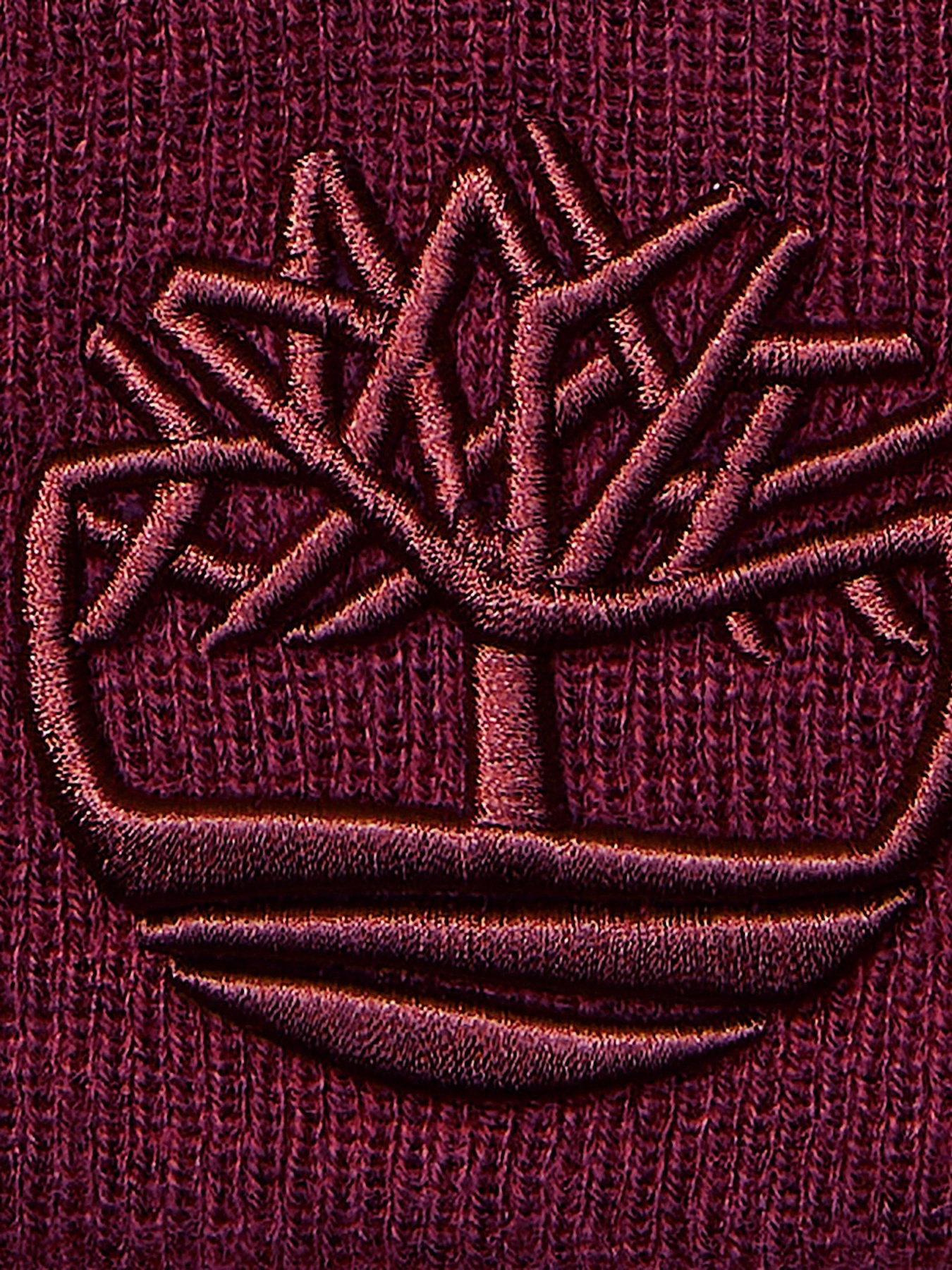 Шапка Timberland модель TB0A65HP648 Фото