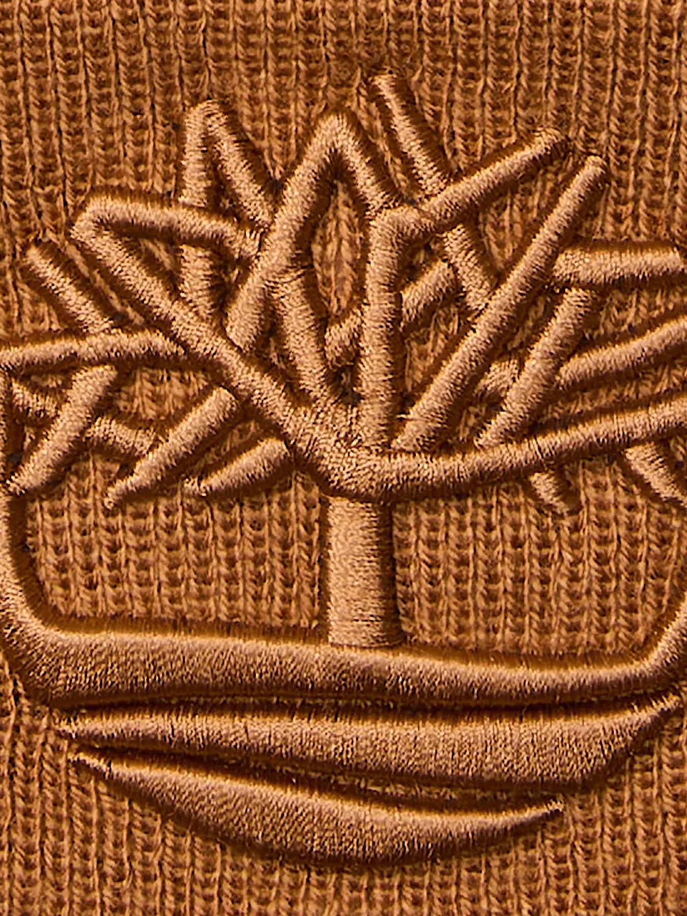 Шапка Timberland модель TB0A65HP231 Фото