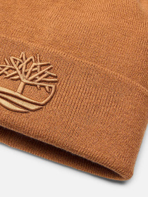 Шапка Timberland модель TB0A65HP231 Фото