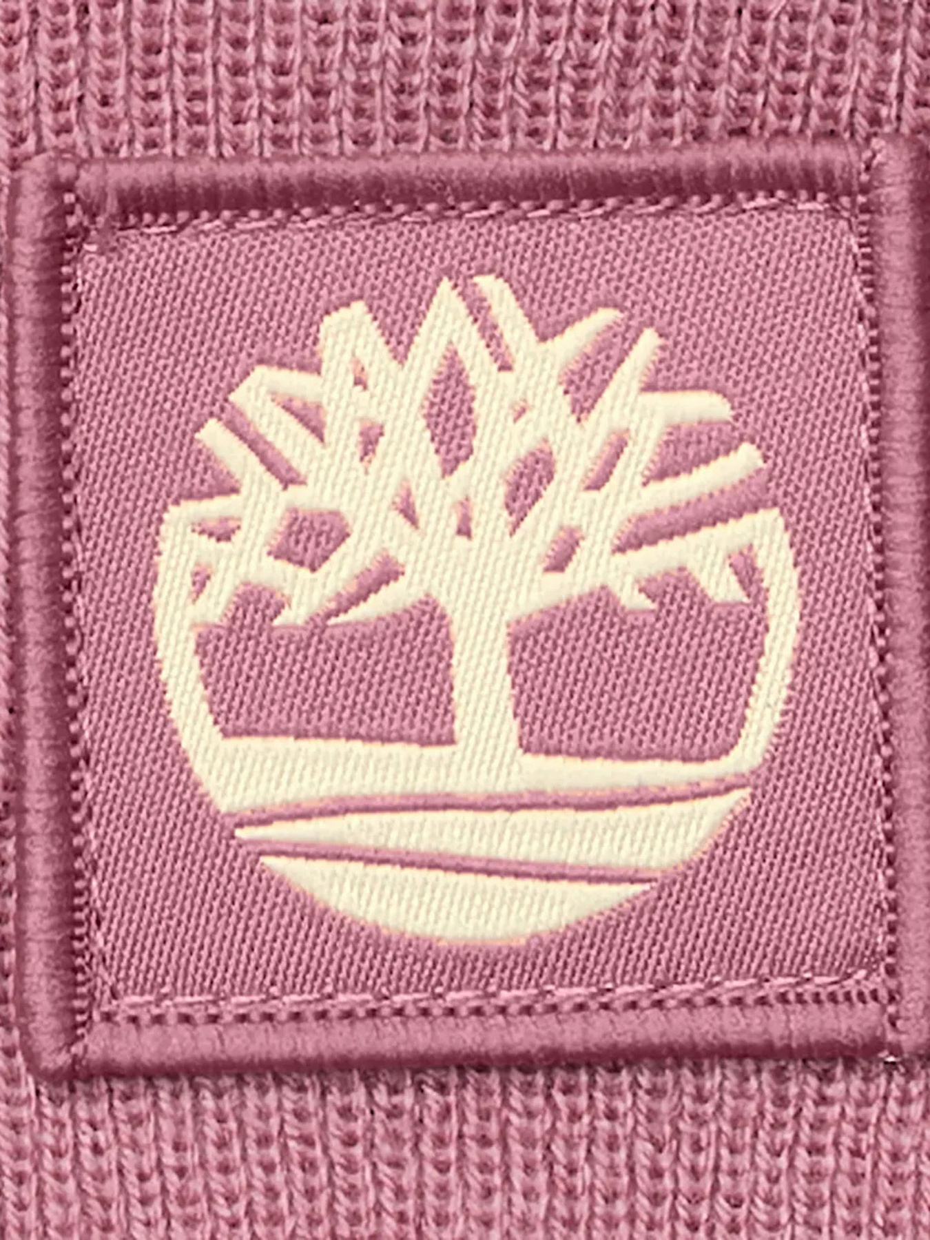 Шапка Timberland модель TB0A65JAEYV Фото