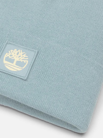 Шапка Timberland модель TB0A65JAEYM Фото