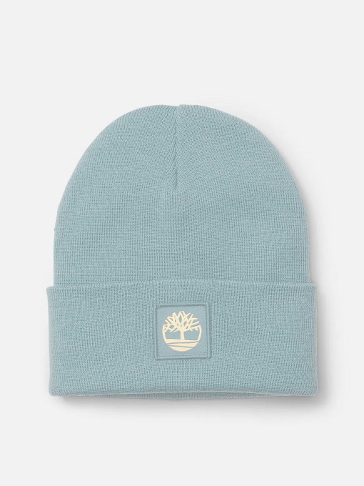 Шапка Timberland модель TB0A65JAEYM Фото