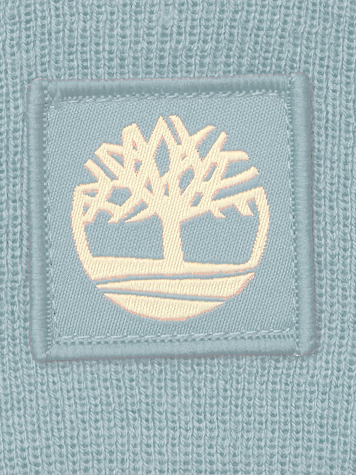 Шапка Timberland модель TB0A65JAEYM Фото