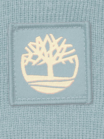 Шапка Timberland модель TB0A65JAEYM Фото