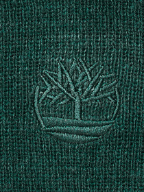 Шапка Timberland модель TB0A65M6317 Фото