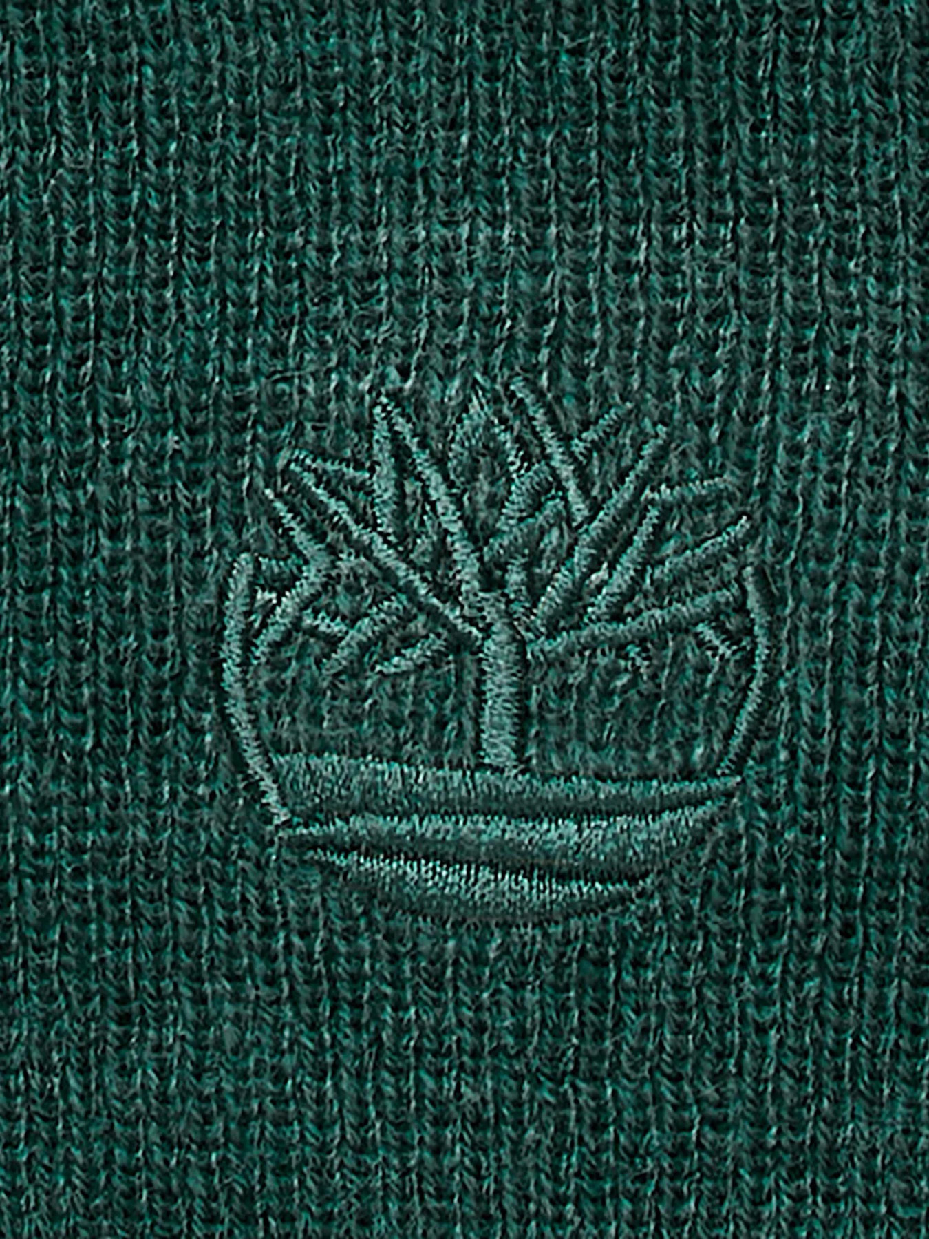 Шапка Timberland модель TB0A65M6317 Фото