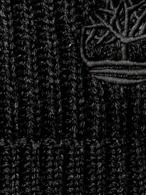 Шапка Timberland модель TB0A66CJ001 Фото