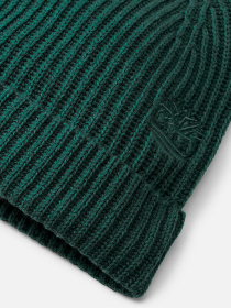 Шапка Timberland модель TB0A66CJ317 Фото