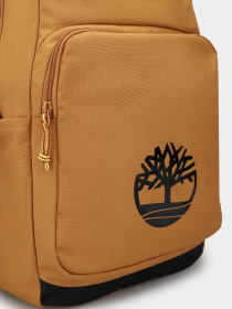 Timberland модель TB0A2K12P47 Фото