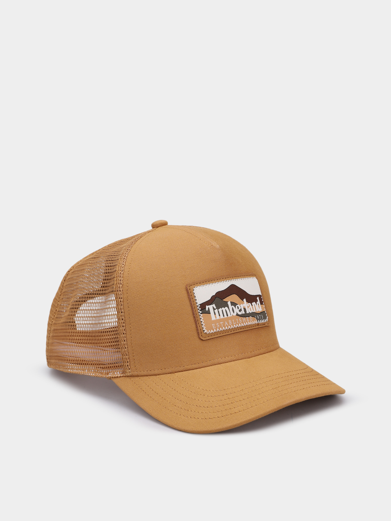 Кепка Timberland модель TB0A6686231 Фото