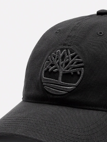 Кепка Timberland модель TB0A66BA001 Фото