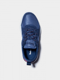 Кроссовки Timberland Boroughs Project L/F Ox модель TB0A24W7410 Фото