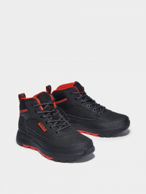 Ботинки Timberland Field Trekker Hiking модель TB0A2FG2015 Фото