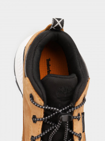 Кросівки Timberland Lightweight Field Trekker Hiker модель TB0A2G3U231 Фото