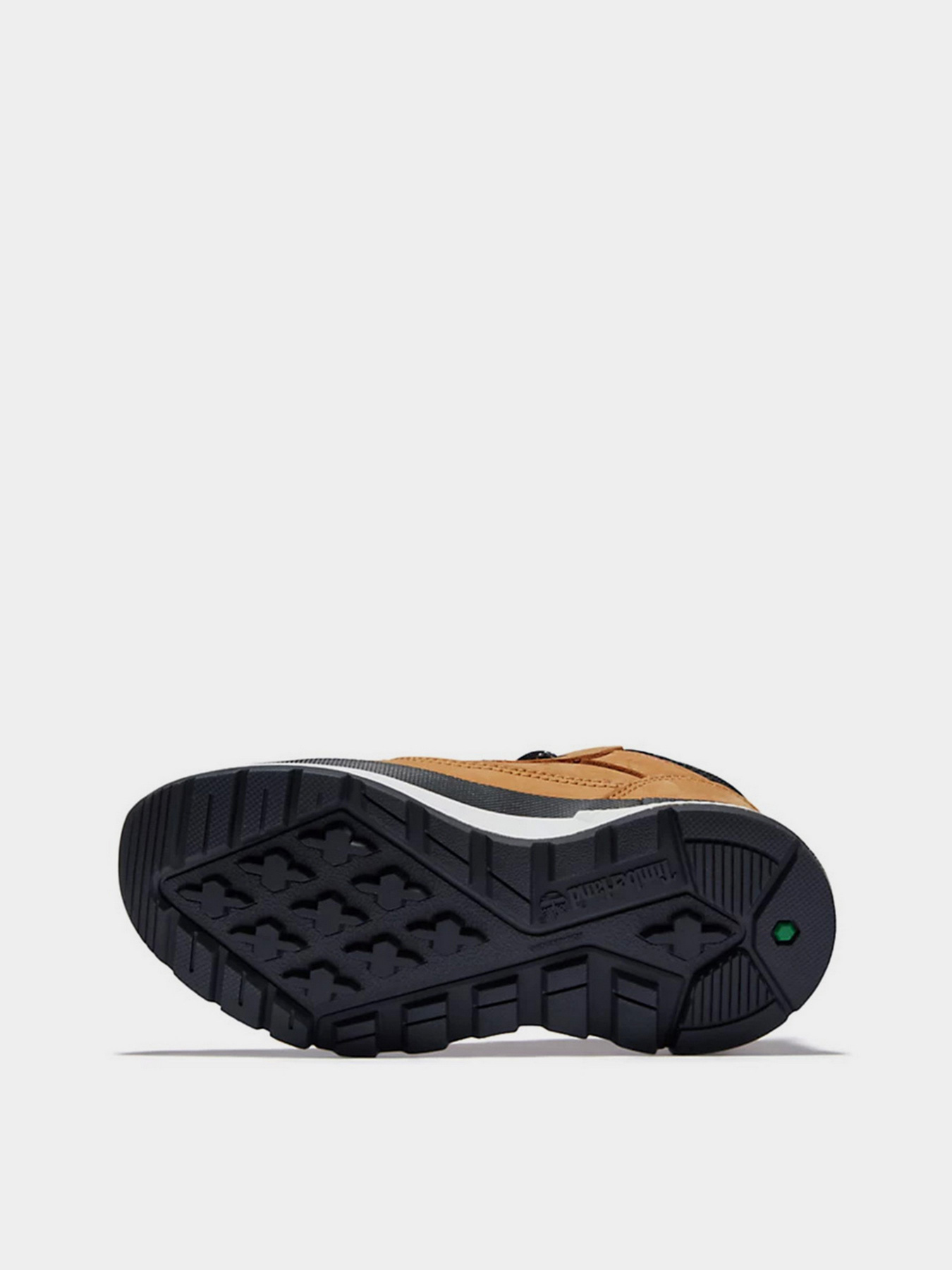 Кросівки Timberland Field Trekker Trainer модель TB0A2GN1231 Фото