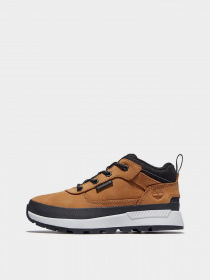 Кросівки Timberland Field Trekker Trainer модель TB0A2GN1231 Фото