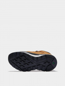 Кросівки Timberland Field Trekker Trainer модель TB0A2GN1231 Фото