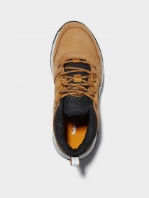 Напівчеревики Timberland Solar Wave Low модель TB0A2HT7231 Фото