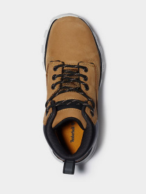 Ботинки Timberland Treeline Mid Hiker модель TB0A28VJ231 Фото