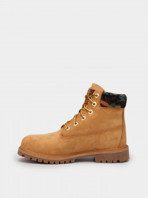 Ботинки Timberland Premium 6-Inch Waterproof модель TB0A2FQ3231 Фото