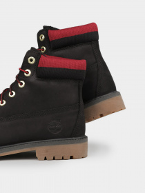 Черевики Timberland Premium Waterproof модель TB0A2FNV001 Фото