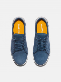 Кеды низкие Timberland Seneca Bay модель TB0A2CVK288 Фото