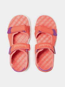 Сандалии Timberland Perkins Row Backstrap модель TB0A2D1R801 Фото