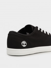 Кеди низькі Timberland Skape Park модель TB0A2KCT015 Фото