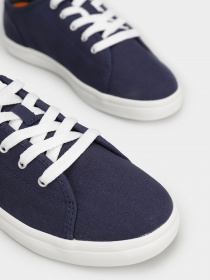 Кеды низкие Timberland Skape Park модель TB0A2J8R019 Фото