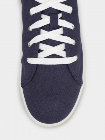 Кеды низкие Timberland Skape Park модель TB0A2KG7019 Фото