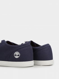 Кеды низкие Timberland Skape Park модель TB0A2KG7019 Фото