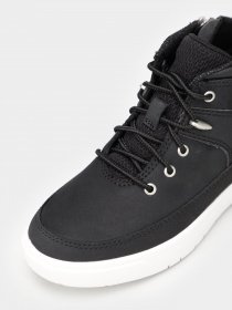 Ботинки Timberland Seneca Bay Hiker модель TB0A2MPH015 Фото