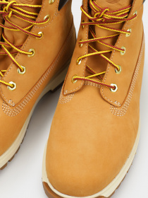 Ботинки Timberland TREE VAULT 6-INCH модель TB0A5SRH231 Фото