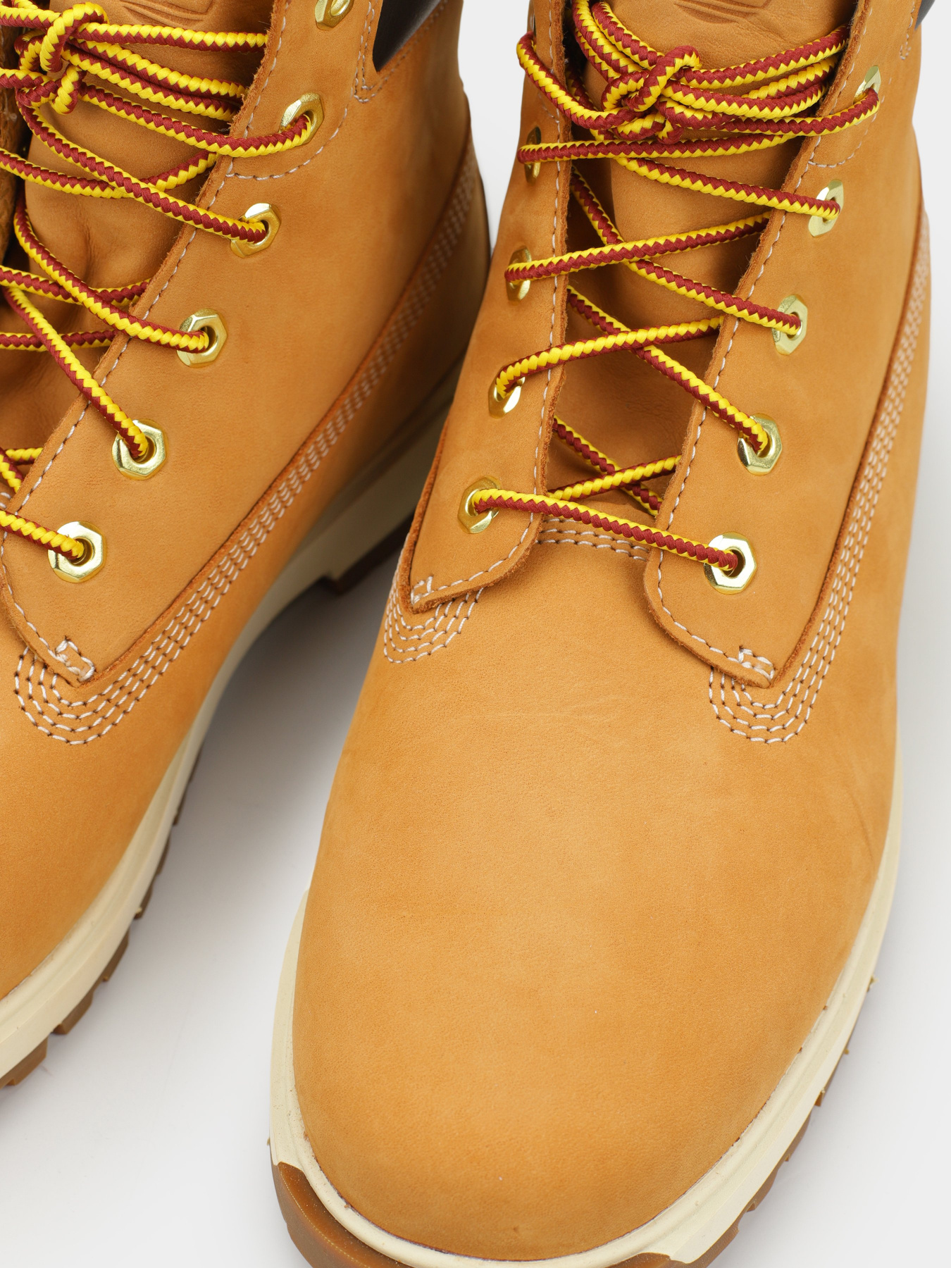 Черевики Timberland TREE VAULT 6-INCH модель TB0A5SRH231 Фото