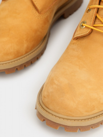 Ботинки и сапоги Timberland Premium 6 модель TB0A5SY6231 Фото