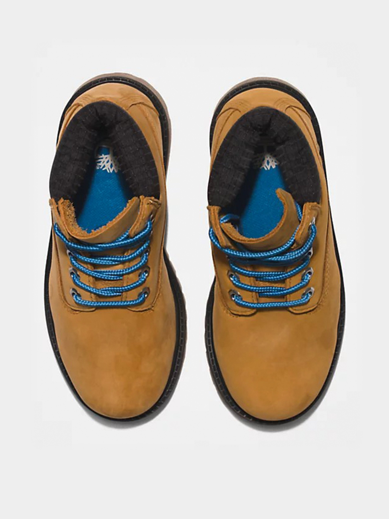 Ботинки Timberland Premium 6 модель TB0A5T51231 Фото