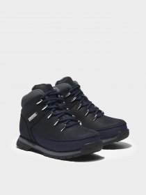 Ботинки Timberland Euro Sprint Hiking модель TB0A2MCH019 Фото