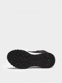 Ботинки Timberland Lincoln Peak Hiker модель TB0A5RSQ015 Фото