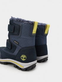 Сапоги дутики Timberland Chillberg 2-Strap GTX модель TB0A1HO7H60 Фото