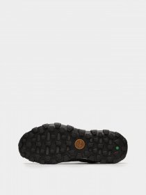 Кроссовки повседневные Timberland Trail Trekker Low GTX модель TB0A65MG019 Фото