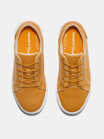 Кеды низкие Timberland Seneca Bay модель TB0A5TDV763 Фото