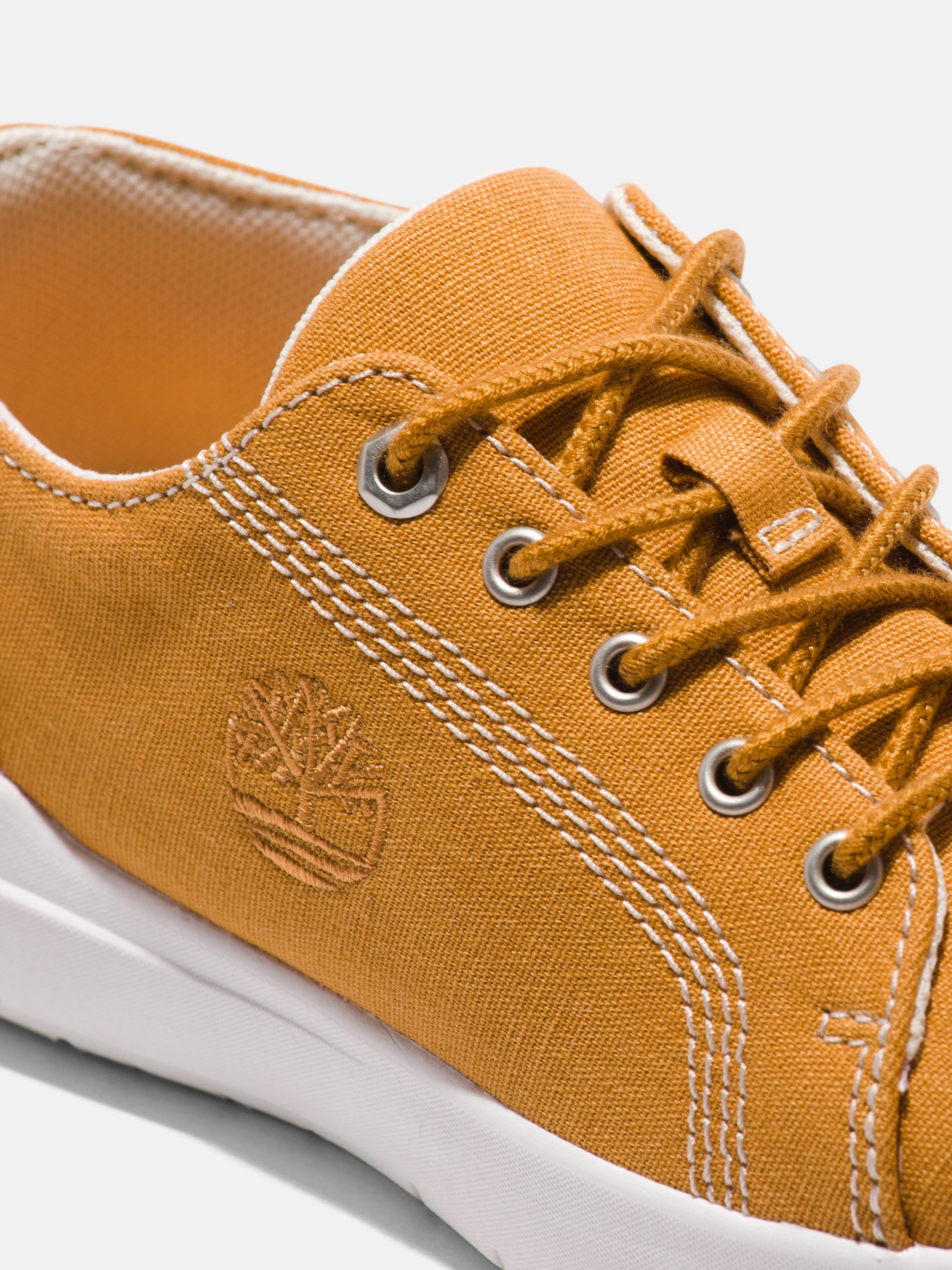 Кеди низькі Timberland Seneca Bay модель TB0A5TDV763 Фото