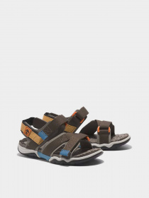 Сандалии Timberland Adventure Seeker 2 Strap модель TB0A5X6Z901 Фото