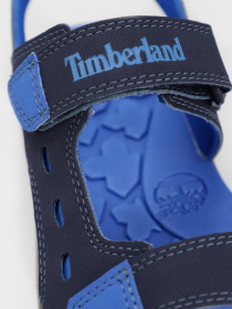 Сандалии Timberland Moss Jump 2-Strap модель TB0A1YNS019 Фото