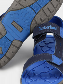 Сандалии Timberland Moss Jump 2-Strap модель TB0A1YNS019 Фото