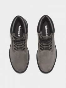 Ботинки Timberland Premium 6-Inch Waterproof модель TB0A64B9033 Фото