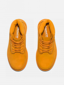 Ботинки Timberland Premium 6-Inch Waterproof модель TB0A64KD804 Ботинки Timberland Premium 6-Inch Waterproof модель TB0A64KD804 Фото