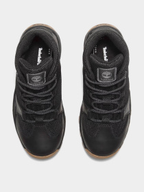 Ботинки Timberland Mt. Maddsen Mid Lace Hiker модель TB0A6B9TW02 Фото